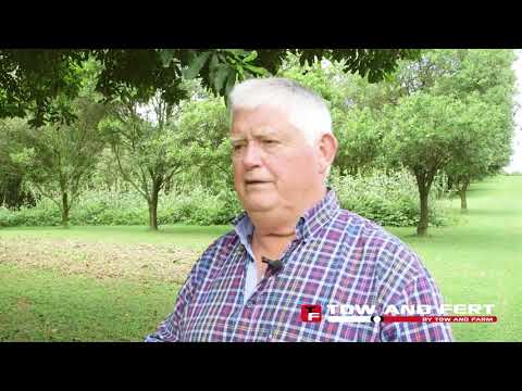 Rex Harris: Regen Approach on Macadamia Orchard